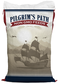 pilgrims path bag